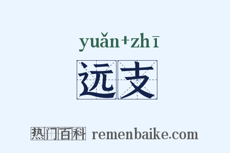 远支是什么意思的图片